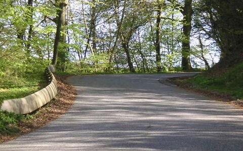 Elisabetha - 16Km from the Sea: Foglia, Erba, Ramo, Albero, Manto Stradale, Natura, Strada, Legna, Asfalto