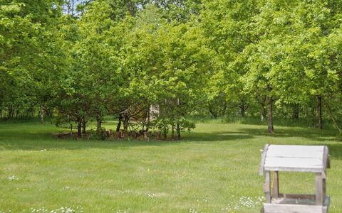 Hailka: Foglia, Albero, Verde, Ambiente Naturale, Erba, Ramo, Vegetazione, Arbusto, Pascolo, Comunita 'Impianto