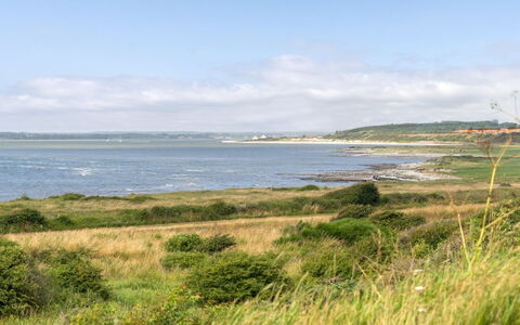 Aranja - 300M to the Fjord: Acqua, Risorse Idriche, Corpo D'Acqua, Verde, Costa, Costiera E Morfologie Oceanic, Vegetazione, Ecoregione, Orizzonte, Pascolo