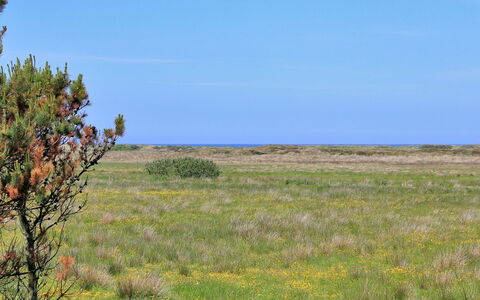 Annick - 300M from the Sea: Blu, Arbusto, Villetta, Groundcover, Giardino, Estate, Shade, Landscaping, Agriturismo, Eco Hotel