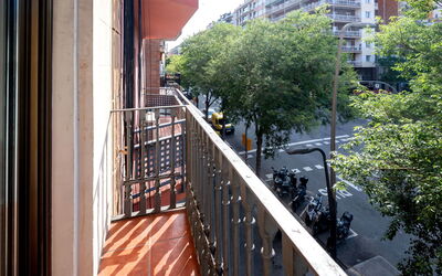 Sants-Montjuïc: Avenida Madrid