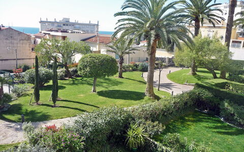 Riviera Park: Vegetazione, Albero, Proprietà, Verde, Erba, Giardino, Palma, Prato, Zona Residenziale, Botanica