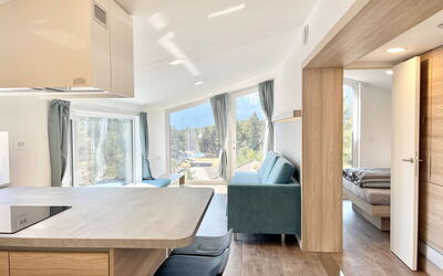 Alloggio:&nbsp;Sky-Chalet 501.1