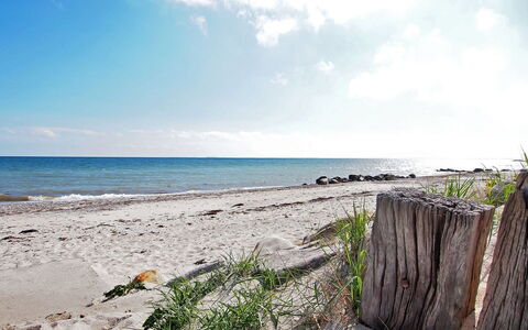 Salme - 100M from the Sea: Blu, Arbusto, Villetta, Groundcover, Giardino, Estate, Shade, Landscaping, Agriturismo, Eco Hotel