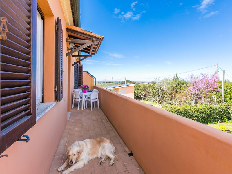 Alloggio:&nbsp;La Casina 650.3