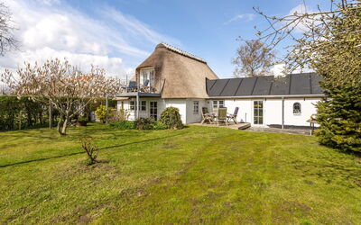 Gyril - 100M from the Sea