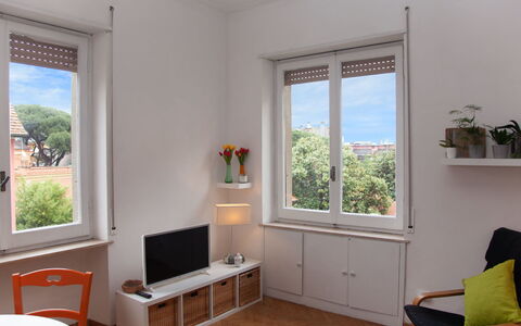 Monte Sacro: Pianta, Proprietà, Finestra, Mobilia, Pianta Della Casa, Legna, Shade, Comfort, Vaso Di Fiori, Interior Design