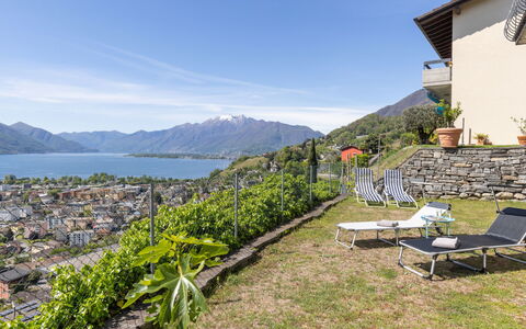 Fontanella Amazingview: Pianta, Proprietà, Costruzione, Paesaggio Naturale, Albero, Lotto, Casa, Villetta, Paesaggio, Zona Residenziale