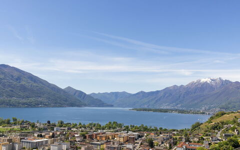 Fontanella Amazingview: Pianta, Proprietà, Costruzione, Paesaggio Naturale, Albero, Lotto, Casa, Villetta, Paesaggio, Zona Residenziale
