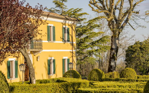 Villa Pianoia: Pianta, Cielo, Proprietà, Costruzione, Finestra, Albero, Ramo, Vegetazione, Luce Del Sole, Giallo