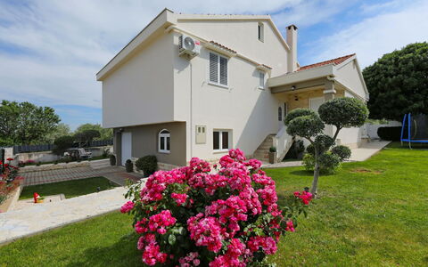 Karlo: Estate, Giardino, Landscaping, Driveway, Cortile, Villa