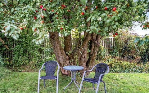 Mats - 5.3Km from the Sea: Erba, Pascolo, Paesaggio, Ecoregione, Plain, Comunita 'Impianto, Lotto, Mobili Da Esterno, Prateria, Shrubland