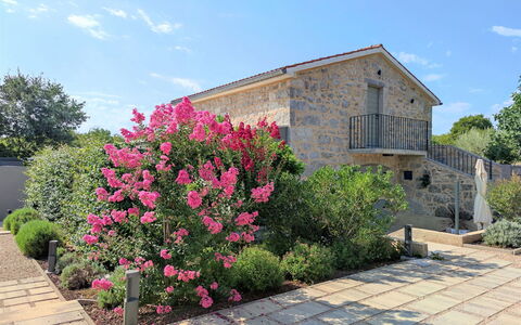 Jerini the Barn: Pianta, Proprietà, Costruzione, Paesaggio Naturale, Albero, Lotto, Casa, Villetta, Paesaggio, Zona Residenziale