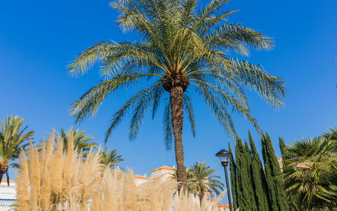 Cala Blanca Denia: Tavolo, Pianta, Costruzione, Cielo, Nube, Legna, Portico, Shade, Interior Design, Sedia