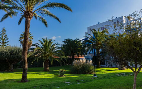 Cala Blanca Denia: Tavolo, Pianta, Costruzione, Cielo, Nube, Legna, Portico, Shade, Interior Design, Sedia