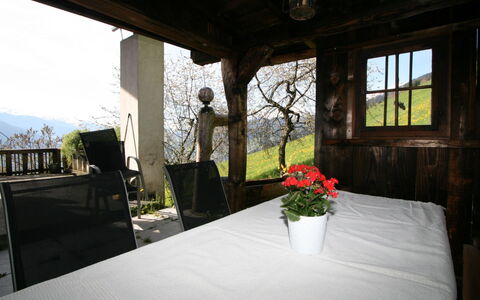Tom: Fiore, Pianta, Tavolo, Proprietà, Finestra, Costruzione, Vaso Di Fiori, Sedia, Casa, Shade