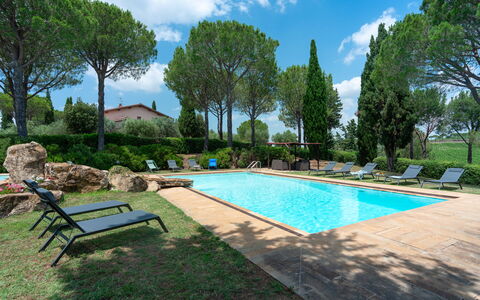 Villa Morellino: Acqua, Pianta, Cielo, Nube, Piscina, Albero, Natura, Costruzione, Mobili Da Esterno, Shade