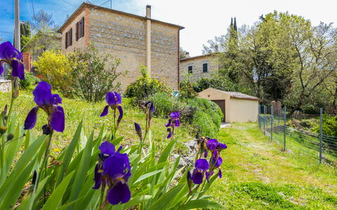 A Casa di Gabri: Acqua, Pianta, Cielo, Proprietà, Nube, Piscina, Azzurro, Albero, Mobili Da Esterno, Shade