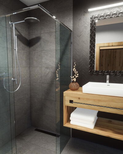 Premium mit Ir-Sauna 900.3
