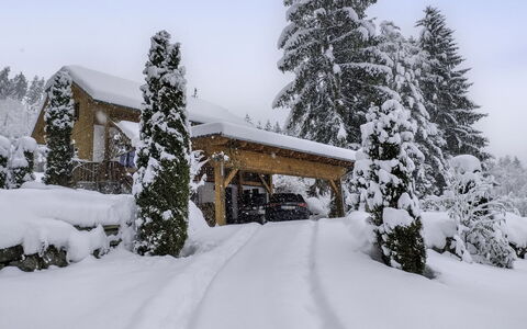 Reiter: Neve, Albero, Inverno, Ramo, Casa, Casa, Villetta, Congelamento, Fenomeno Geologico, Larice