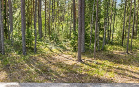 Villa Väiski: Legna, Villetta, Casa, Log Cabin, Legname, Raccordo, Latifoglie, Materiali Naturali, Edifici Giardino, Capanna
