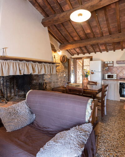 Carola 250.2