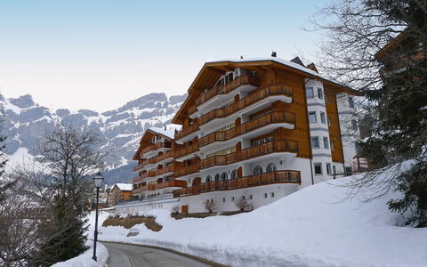 Edelweiss C: Cielo, Costruzione, Neve, Proprietà, Montagna, Albero, Pendenza, Pianta, Casa, Nube