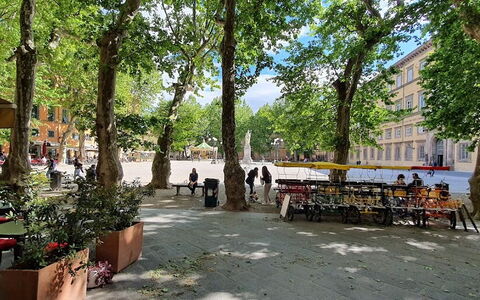 Residenza Otello: Pianta, Vaso Di Fiori, Costruzione, Manto Stradale, Urban Design, Albero, Quartiere, Tempo Libero, Shade