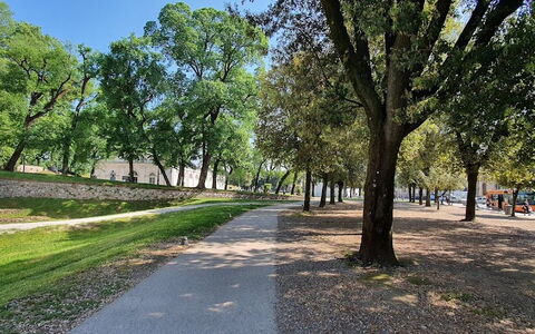 Residenza Otello: Pianta, Cielo, Albero, Manto Stradale, Shade, Paesaggio Naturale, Strada Transitabile, Erba, Paesaggio, Asfalto