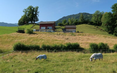 Luxenweid