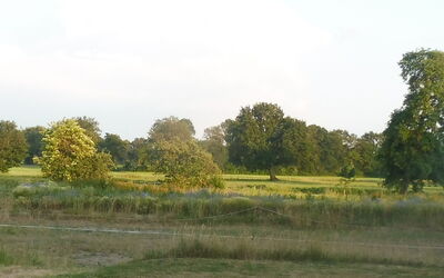 Reethuus