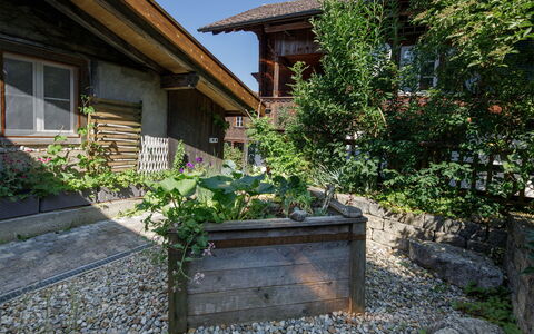 Brienzwiler 125: Arbusto, Casa, Giardino, Villetta, Groundcover, Backyard, Landscaping, Cortile, Vaso Di Fiori