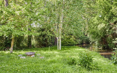 Alloggio:&nbsp;Le Laizon 2 200.2