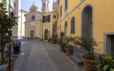Alloggio:&nbsp;Ruscus 619.3