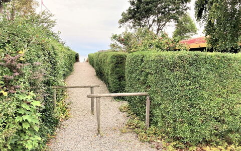 Maybrit - 50M from the Sea: Blu, Arbusto, Villetta, Groundcover, Giardino, Estate, Shade, Landscaping, Agriturismo, Eco Hotel