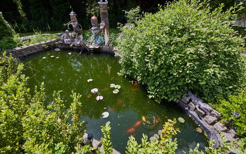 Desná V Jizerských Horách 407: Acqua, Verde, Alveo, Arbusto, Giardino, Stagno, Stagno Dei Pesci, Giochi D'Acqua
