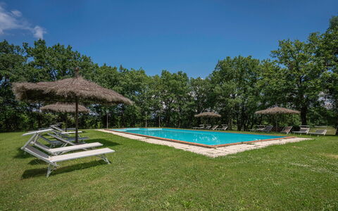 Belvedere - Falceto, Ambra, Toscana: Cielo, Proprietà, Pianta, Acqua, Piscina, Shade, Albero, Casa, Lotto, Erba