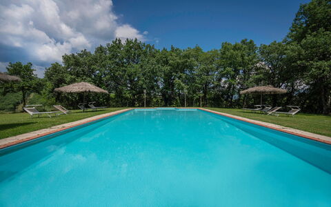 Belvedere - Falceto, Ambra, Toscana: Acqua, Nube, Pianta, Proprietà, Piscina, Cielo, Azzurro, Albero, Shade, Materiale Composito