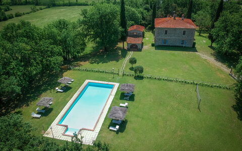 Belvedere - Falceto, Ambra, Toscana: Pianta, Proprietà, Costruzione, Albero, Lotto, Urban Design, Biome, Erba, Tempo Libero, Paesaggio