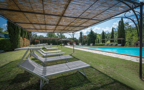 Mulino Al Suono - Badia Agnano, Toscana: Pianta, Acqua, Cielo, Botanica, Shade, Urban Design, Albero, Erba, Piscina, Tetto