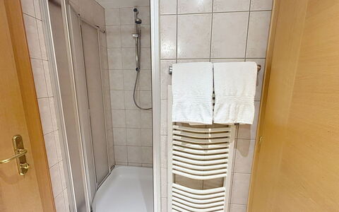 Ischgl 111: Pavimentazione, Pavimento, Interior Design, Camera, Color Legno, Biancheria, Latifoglie, Piastrella, Doccia Porta