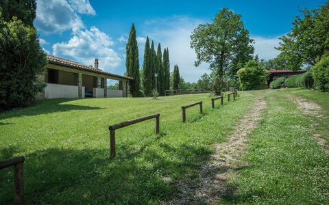 Borgo La Casina - Badia Agnano, Toscana: Nube, Cielo, Pianta, Proprietà, Paesaggio Naturale, Albero, Lotto, Luce Del Sole, Recinzione, Paesaggio