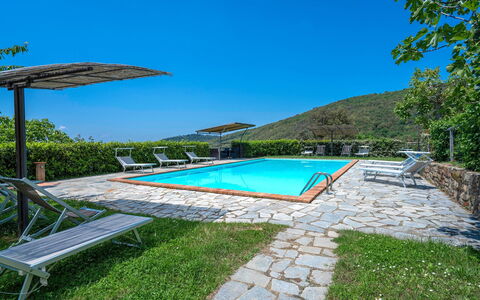 Colle Degli Ulivi - Cortona, Pool, Nature, Privacy: Acqua, Cielo, Pianta, Piscina, Ombrello, Mobili Da Esterno, Costruzione, Shade, Rettangolo, Albero
