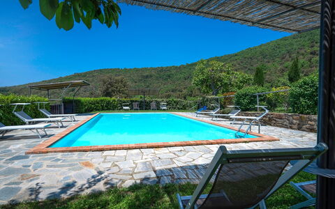 Colle Degli Ulivi - Cortona, Pool, Nature, Privacy: Acqua, Cielo, Pianta, Proprietà, Piscina, Azzurro, Sedia, Shade, Albero, Costruzione