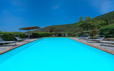 Colle Degli Ulivi - Cortona, Pool, Nature, Privacy: Acqua, Cielo, Pianta, Piscina, Azzurro, Rettangolo, Costruzione, Shade, Casa, Albero