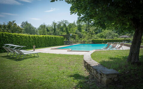 Fonte Nuova - Badia Agnano, Toscana: Acqua, Pianta, Cielo, Piscina, Azzurro, Albero, Shade, Nube, Mobili Da Esterno, Erba