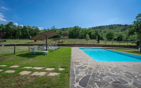 Leopolda In Selvarella Pool And Wi-fi: Cielo, Acqua, Proprietà, Pianta, Nube, Piscina, Shade, Albero, Erba, Rettangolo