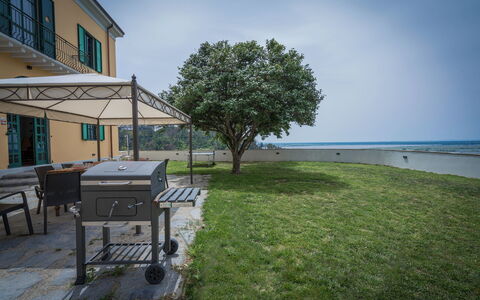 Massarosa Front Lake, The Gargoyles: Cielo, Proprietà, Pianta, Finestra, Nube, Costruzione, Acqua, Lotto, Shade, Albero