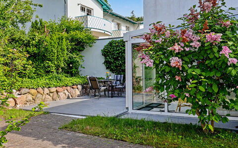 Usedomer Seekiste: Fiore, Verde, Arbusto, Giardino, Rosa, Primavera, Cortile, Landscaping, Shade