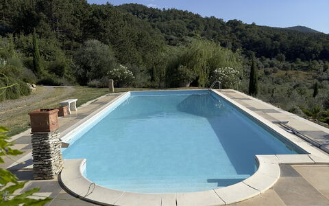 Villa Monticello: Acqua, Cielo, Risorse Idriche, Piscina, Pianta, Costruzione, Albero, Shade, Rettangolo, Materiale Composito